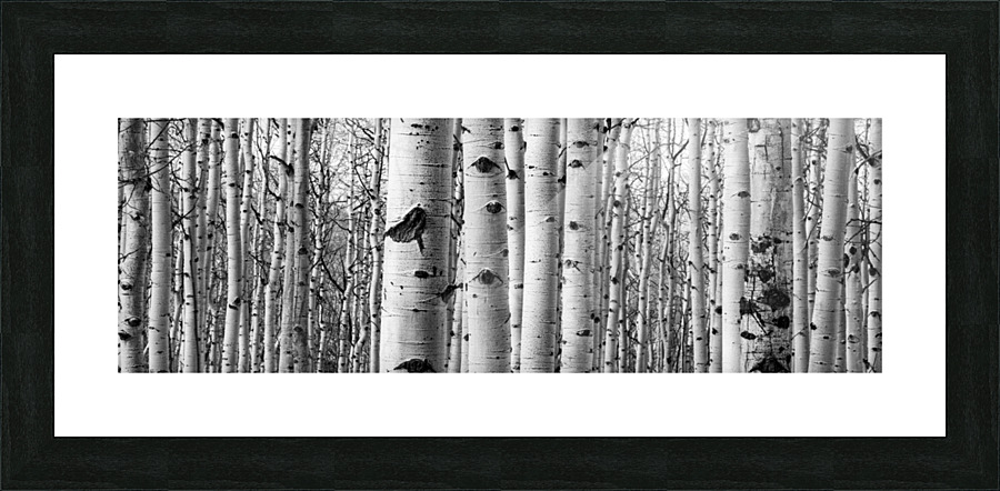 Aspen Picture Frame print