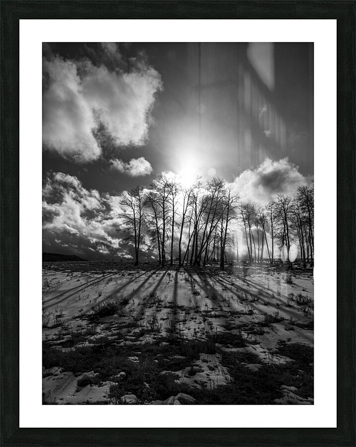 Long Shadows at Dusk Picture Frame print