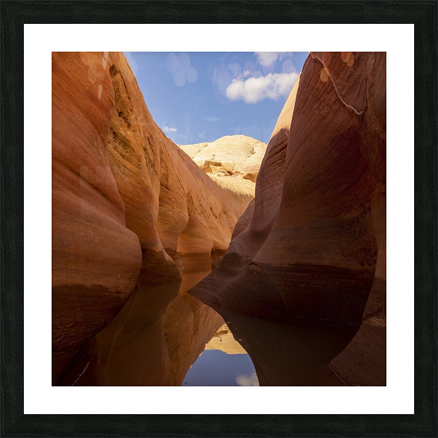 Cold Mirror Picture Frame print