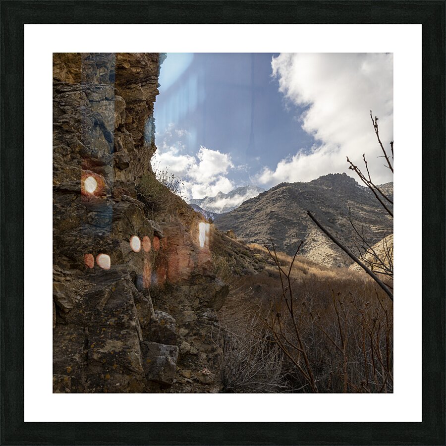 High and Dry Picture Frame print