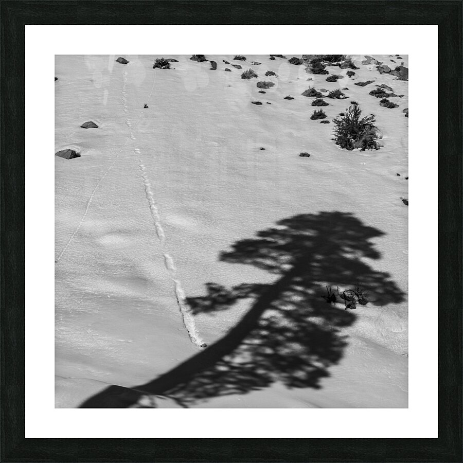 Shadow and Stone Picture Frame print