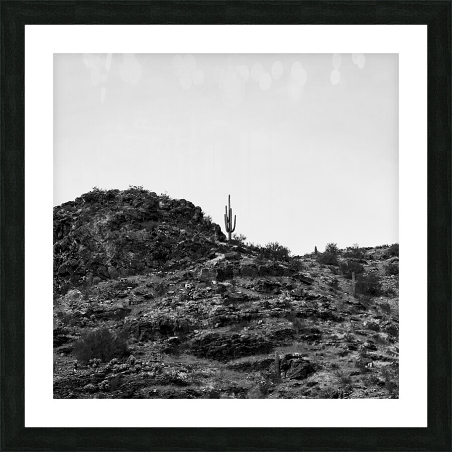 Alone on a Hill Picture Frame print
