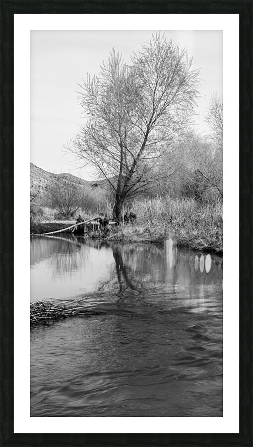 Washed Reflection Picture Frame print