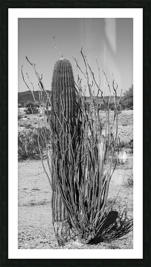 Prickly Friends Picture Frame print