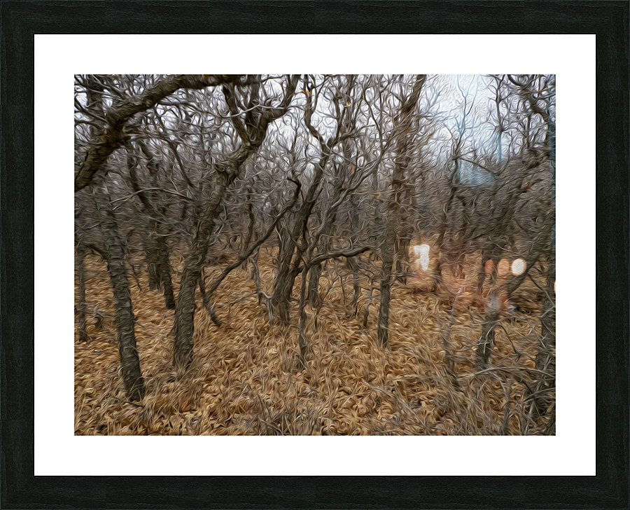brambles Picture Frame print