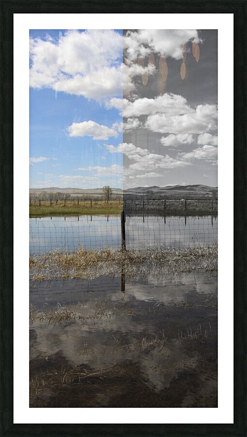 Fade to Gray Post Picture Frame print