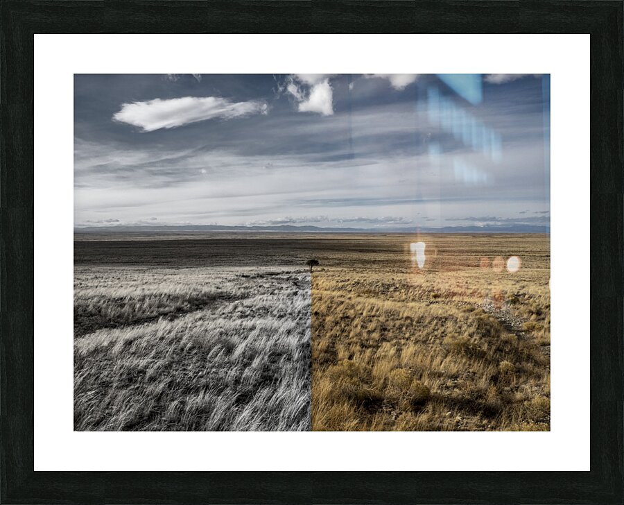 Fade to Gray Picture Frame print