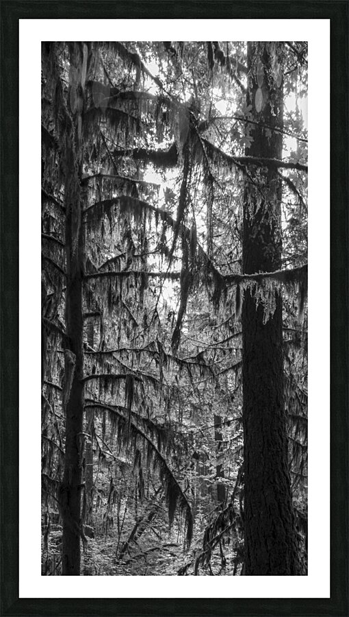 Stand Tall Picture Frame print