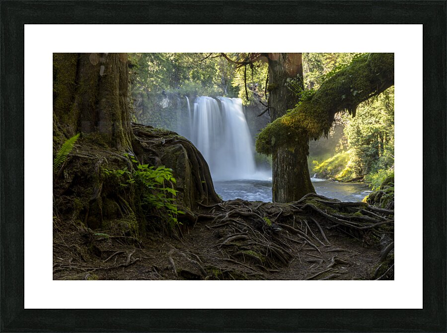 Natural Window Picture Frame print