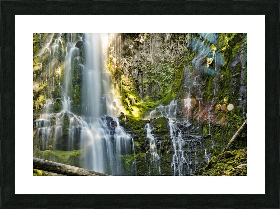 Proxy Falls 2 Picture Frame print