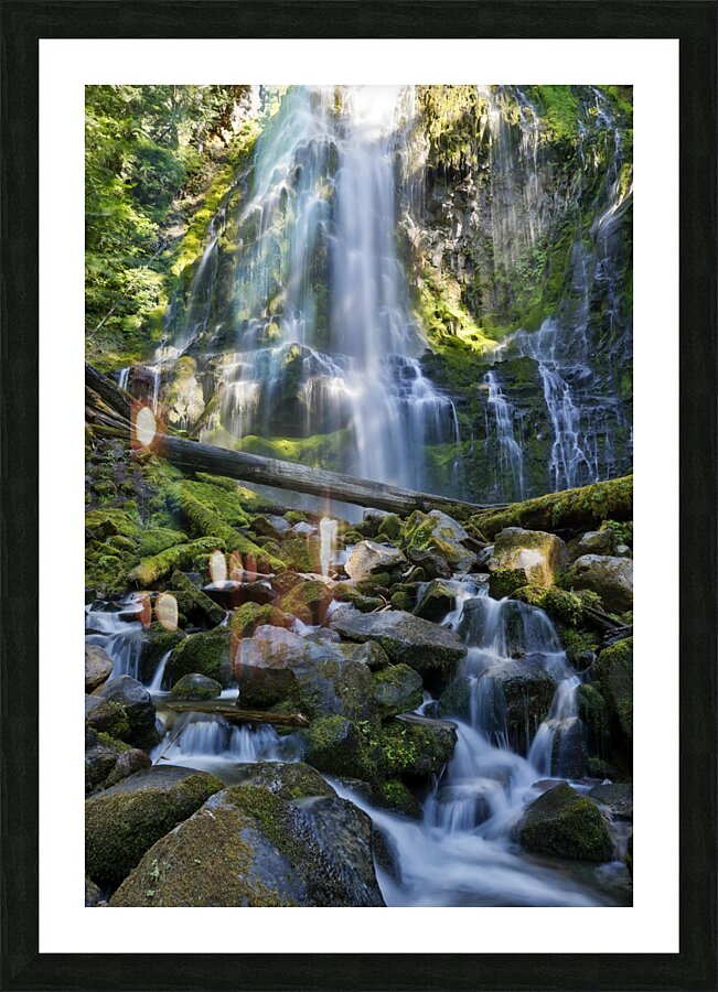 Proxy Falls Picture Frame print