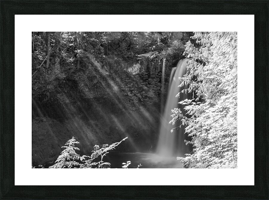 Touched by Light Picture Frame print