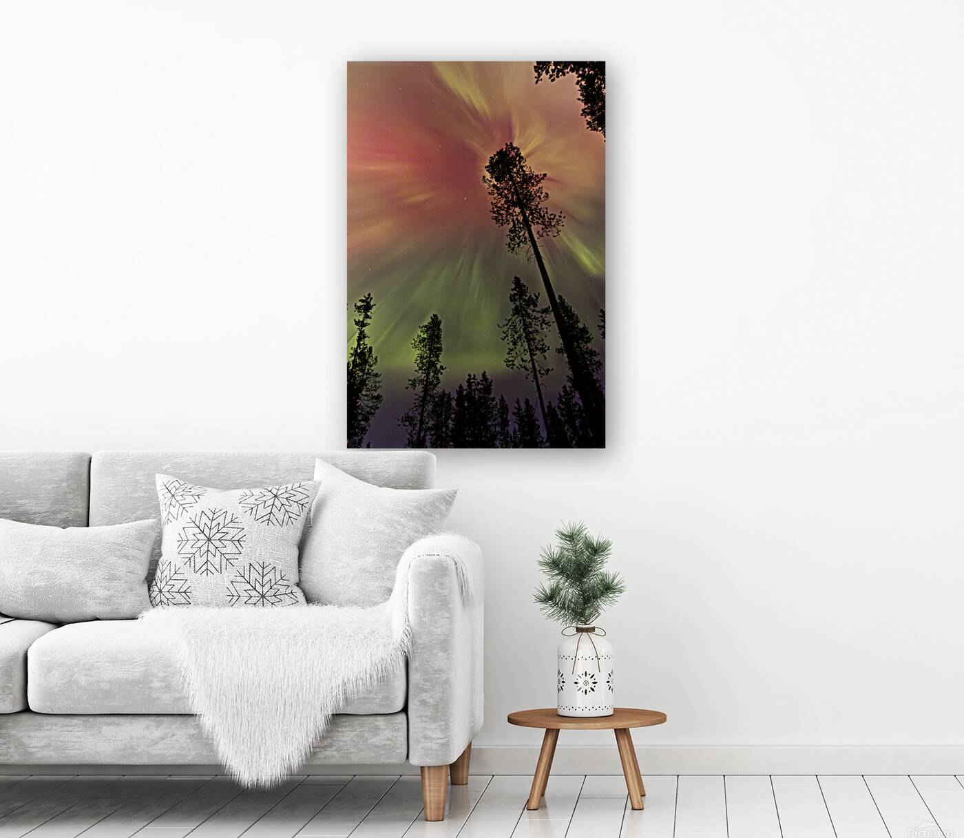 Aurora 1 Reproduction