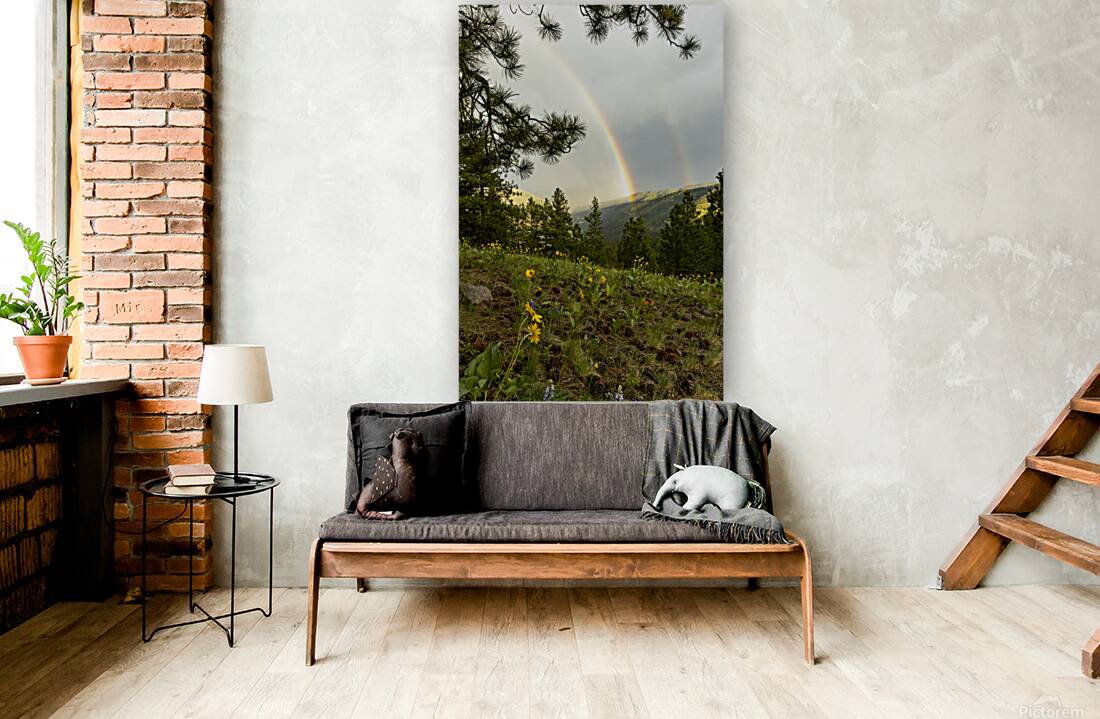 MONTANA Reproduction