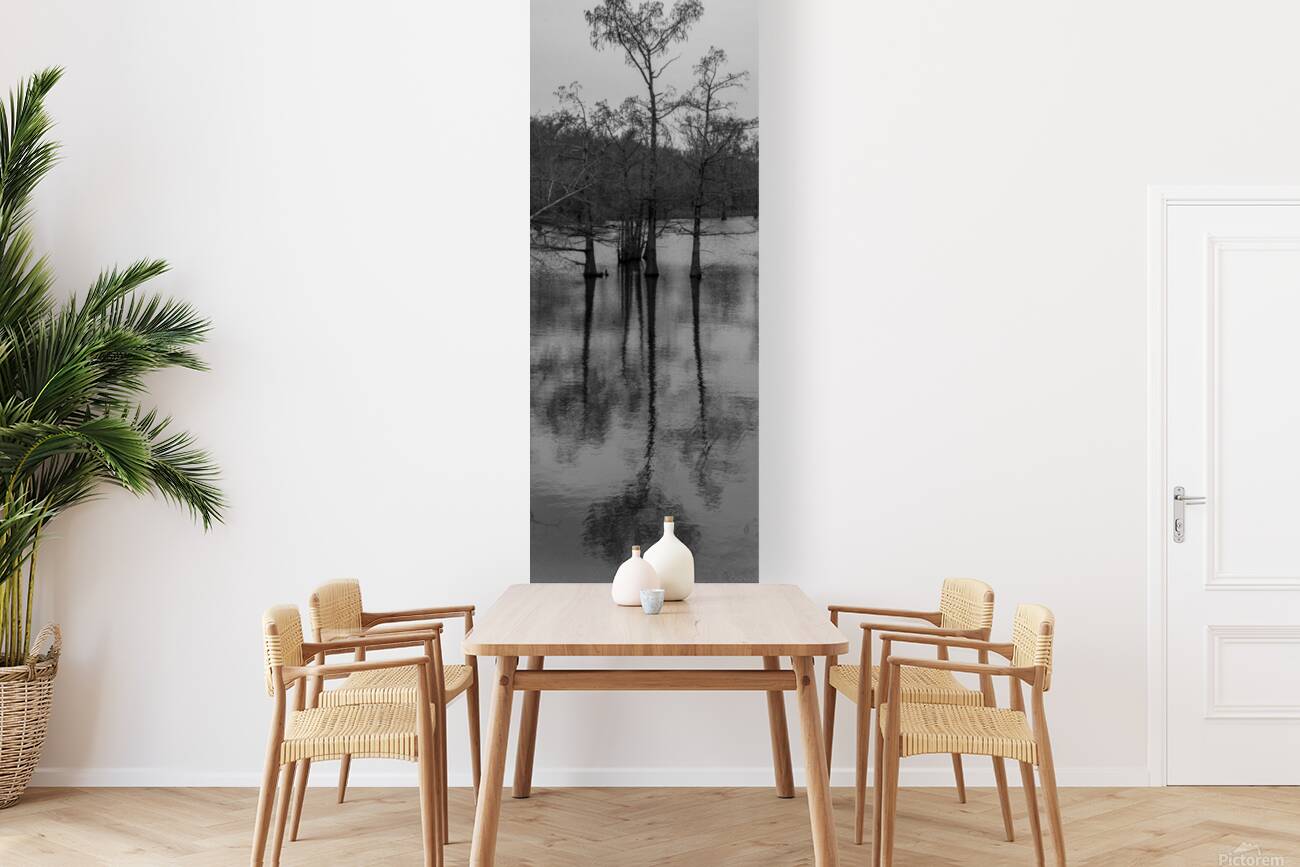 Bayou Reproduction