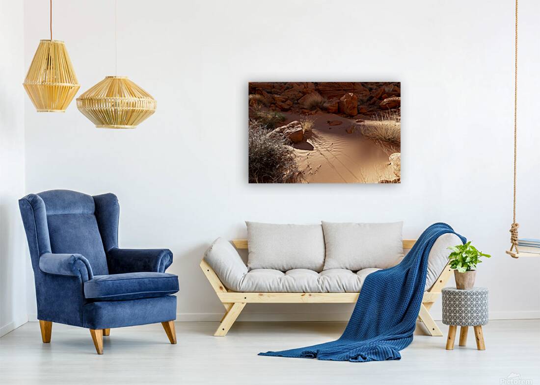 Soft Sand Reproduction