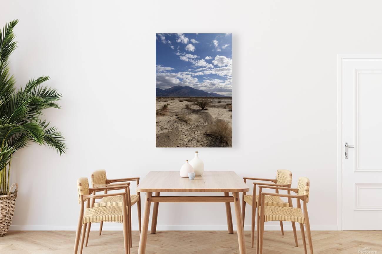 Death Valley Reproduction