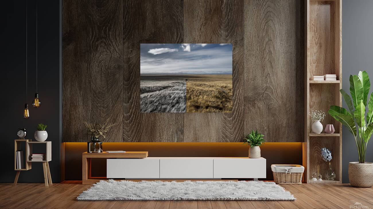 Fade to Gray Reproduction