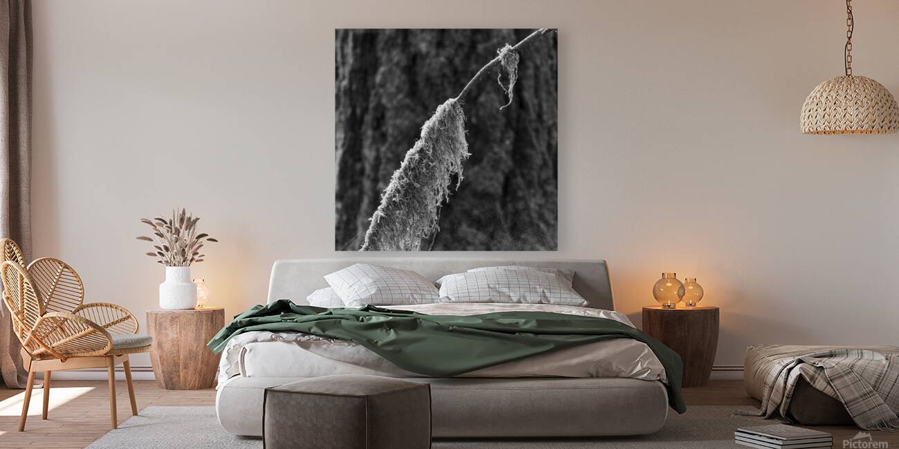 Mossy Twig Reproduction