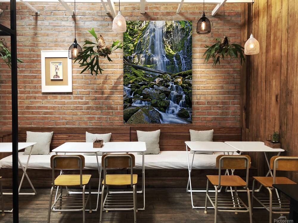 Proxy Falls Reproduction