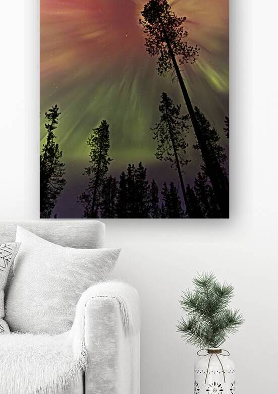 Aurora 1 Reproduction