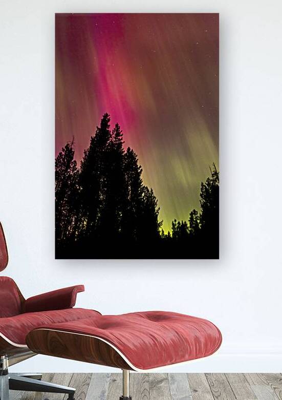 Aurora 3 Reproduction