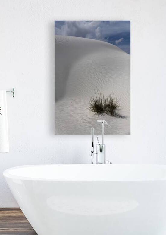 White Sand Reproduction