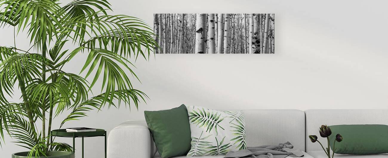 Aspen Reproduction