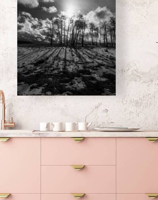 Long Shadows at Dusk Reproduction