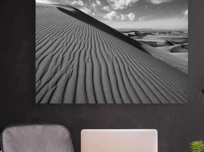 Sahara in Colorado Reproduction