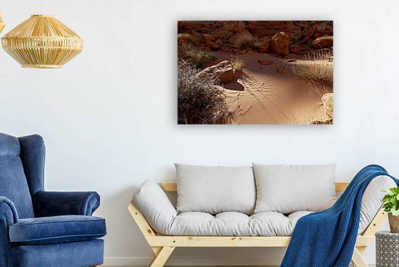 Soft Sand Reproduction