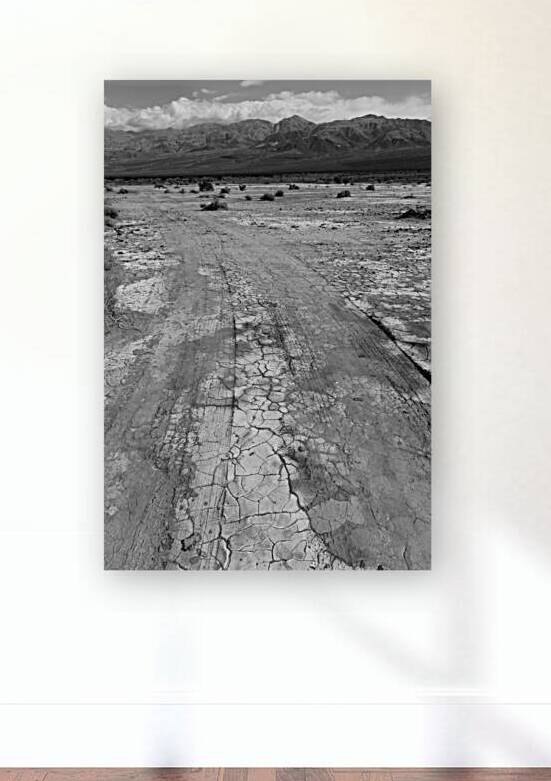 Harsh Road to Harsh Land by Baumann Gallery