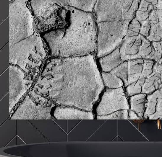 Future Archeology Reproduction