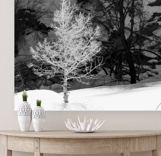 A Bright Sapling by Baumann Gallery