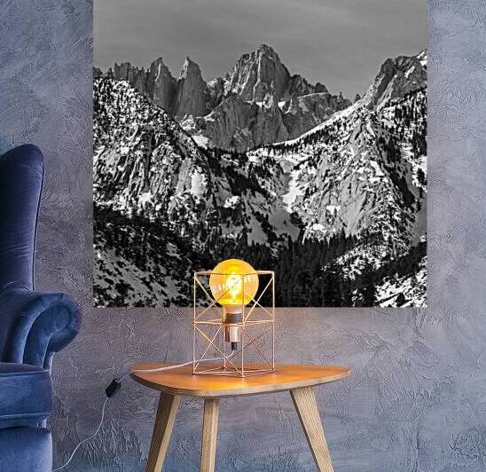 Whitney Reproduction