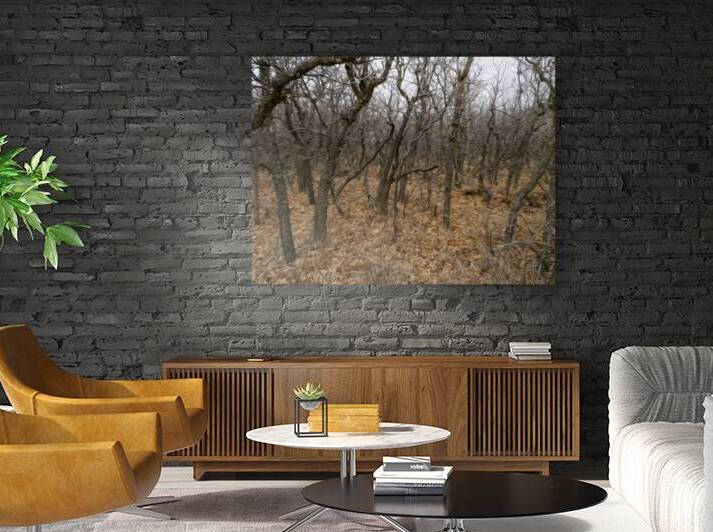 brambles by Baumann Gallery