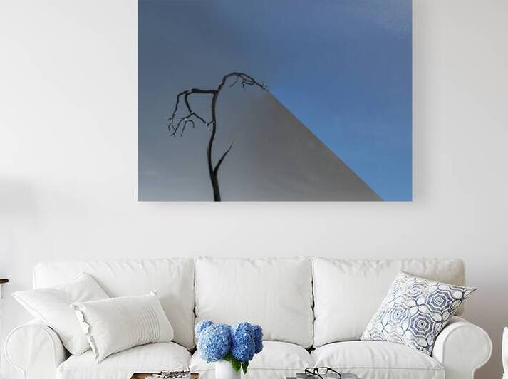 Fade to Gray Shadow Reproduction