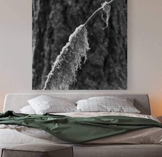 Mossy Twig Reproduction