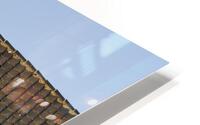 Dutch Glow HD Metal print