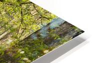 Forrest though the Trees HD Metal print