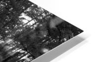 Left or Right HD Metal print