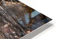 Carving the Narrows HD Metal print