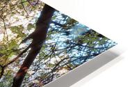 Emerald Pools HD Metal print