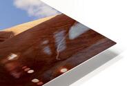 Cold Mirror HD Metal print