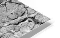 Future Archeology HD Metal print