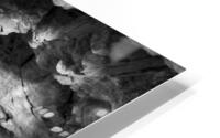 Mine Trap HD Metal print