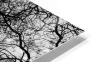 Just Look Up HD Metal print