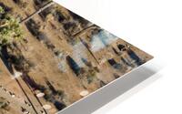Joshua Tree Paths HD Metal print