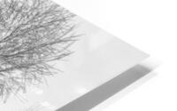Washed Reflection HD Metal print