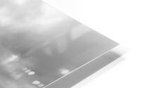Endless Dessert HD Metal print